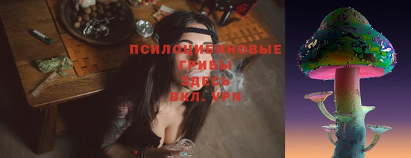 МДМА Медвежьегорск